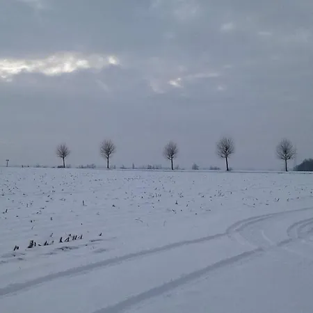 Victors Hof, Met Zwemvijver In Landelijke Setting Oda ve Kahvaltı Lievegem