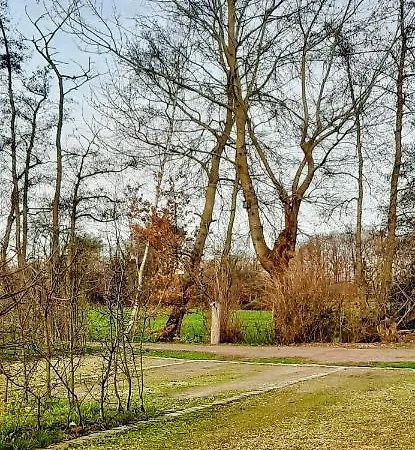 Victors Hof, Met Zwemvijver In Landelijke Setting Oda ve Kahvaltı Lievegem